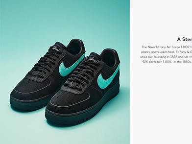 NIKE ナイキTiffany ティファニーコラボシューホーン靴べら