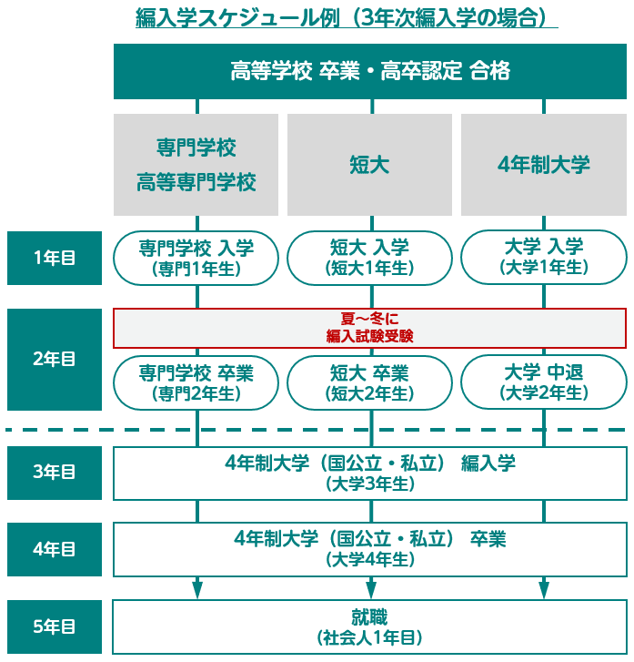 3年次編入学 スケジュール