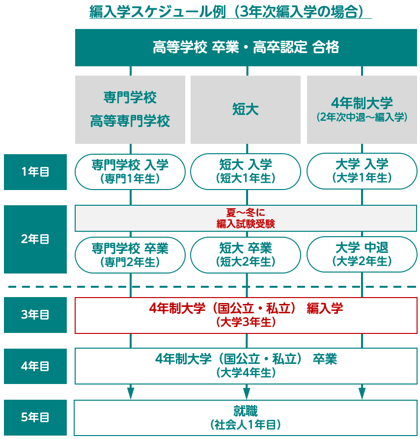 編入　スケジュール