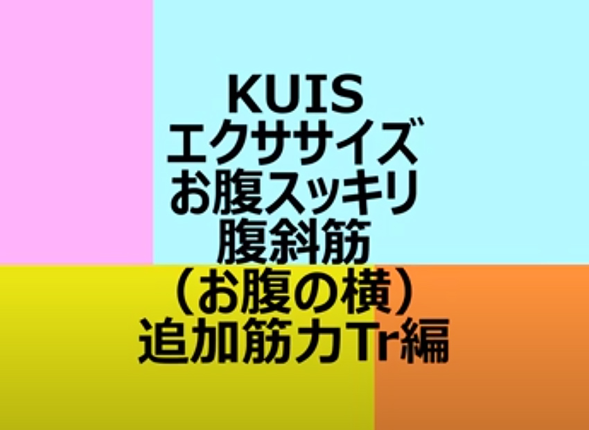 腹斜筋(横っ腹)筋力Tr