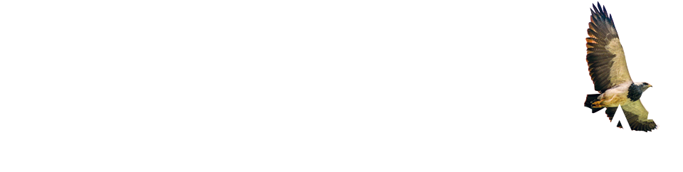 Why ASIA ? Why IBERO-AMERICA?